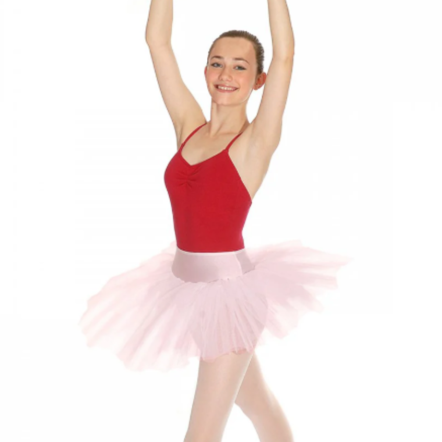 PTPAR - PARISIEEN STYLE PULL ON NET TUTU SKIRT