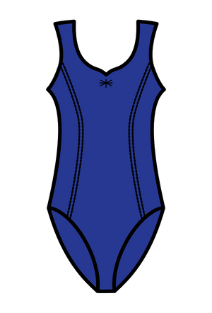 PHILLIPA - MATT LYCRA SLEEVELESS PINCH FRONT SWEETHEART NECK LEOTARD WITH PRINCESS SEAMS AND A BACK GATHER